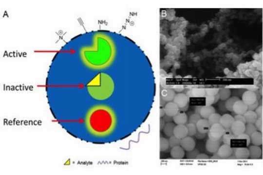 Un Nuevo Nanosistema Permitir Administrar Part Culas De Cobre Y