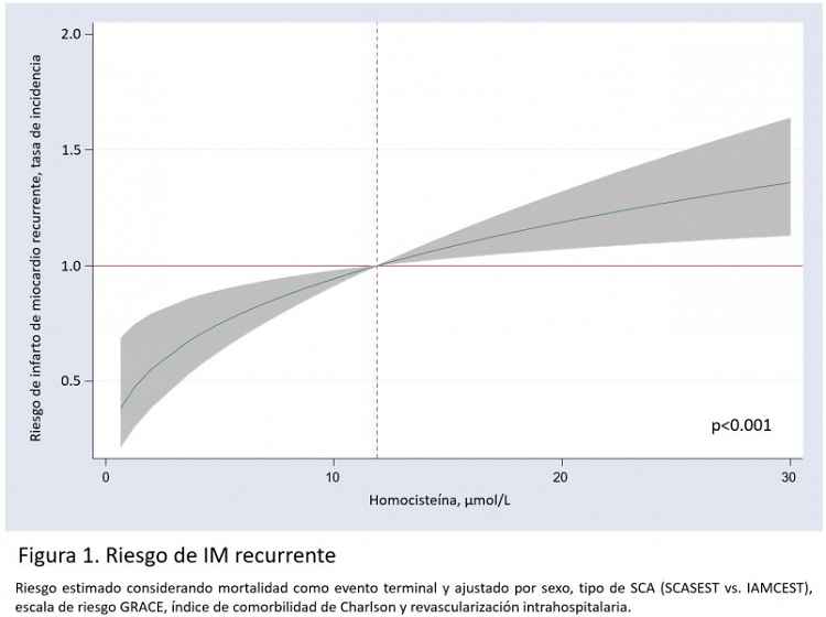 HOMOCISTEÍNA E INFARTO DE MIOCARDIO RECURRENTE A LARGO PLAZO TRAS UN ...