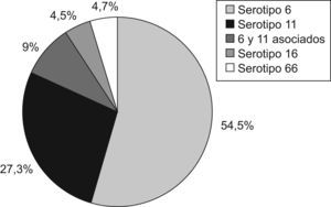 Porcentaje de presentación de los serotipos.