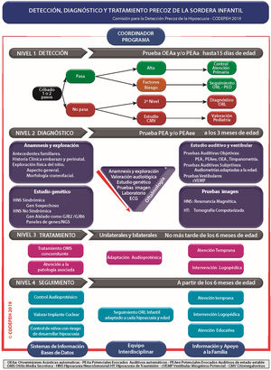 Esquema de los niveles de actuación en el proceso. Detección, diagnóstico, tratamiento y seguimiento. ASSR: potenciales evocados auditivos de estado estable; CMV: citomegalovirus; cVEMP: potencial evocado miogénico vestibular cervical; ECG: electrocardiograma; HNS: hipoacusia neurosensorial; HT: hipoacusia de transmisión; OEA: otoemisiones acústicas; ORL: otorrinolaringólogo; PEA: potenciales evocados auditivos diagnósticos; PEAa: potenciales evocados auditivos automatizados; PED: pediatra.