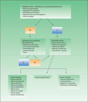 Algoritmo de diagnóstico dermatoscópico en 2 etapas.