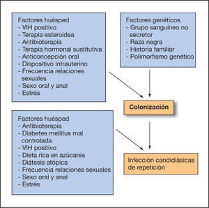 Etiología de las vulvovaginitis candidiásicas de repetición. VIH: virus de la inmunodeficiencia humana.