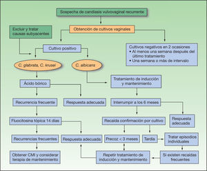 Algoritmo terapéutico de las vulvovaginitis candidiásicas. CMI: concentración mínima inhibitoria.