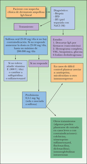 Esquema de tratamiento de la dermatosis ampollosa por IgA lineal. IFD: inmunofluorescencia directa; IFI: inmunofluorescencia indirecta.
