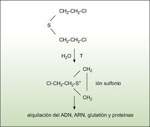 Formación del ión sulfonio, causante de las alquilaciones inducidas por la iperita.