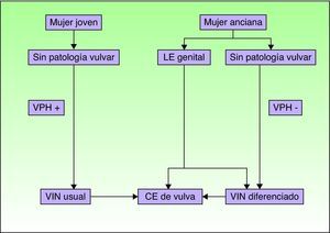 Vías patogénicas implicadas en el CE de vulva según Nelly SM et al8. CE: carcinoma epidermoide; LE: liquen escleroso; VIN: neoplasia intraepitelial vulvar; VPH: virus del papiloma humano.