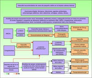 Algoritmo diagnóstico de las vasculitis cutáneas.