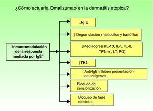 Mecanismo de acción de omalizumab en la dermatitis atópica.