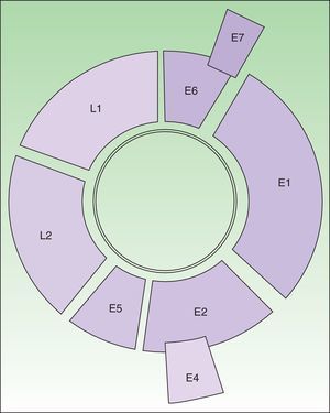 Representación del genoma del VPH tipo 16 (8000 pb). Molécula de ADN circular bicatenaria. E6 y E7 son oncogenes. E1 participa en la replicación del ADN viral (actividad helicasa). E2 participa como proteína auxiliar en la replicación y también interviene en la regulación de la transcripción. E4 disgrega las citoqueratinas para facilitar su liberación. E5 estimula el crecimiento celular mediante la interacción con receptores. Las proteínas de la cápside son producto de los genes L1 (principal) y L2 (secundaria); ambos de expresión tardía. Entre L1 y E6 estaría localizada la región reguladora.