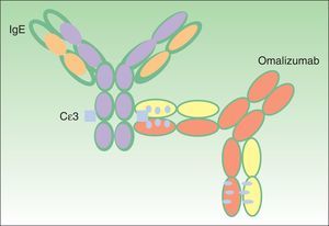 Unión de omalizumab al receptor C¿3 de la IgE.
