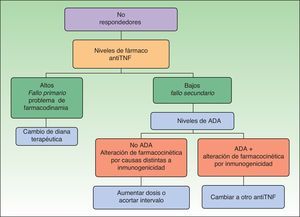 Algoritmo de decisión en pacientes que no responden a anti-TNF. Introducción del concepto fallo primario y secundario según la inmunogenicidad.