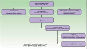 Algoritmo diagnóstico-terapéutico.