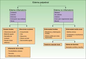 Algoritmo diagnóstico del edema palpebral.