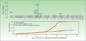En esta figura se resumen los resultados del GWAS realizado por el CASP. En la figura superior se representan los valores de significación estadística en relación a su posición cromosómica. Este tipo de gráfico se conoce como gráfico «Manhattan», puesto que las regiones de alta significación estadística se asemejan a la vista de una ciudad con rascacielos. En este caso, los estudios de replicación confirmaron la asociación de 7 regiones marcadas en el gráfico de color verde. En el gráfico inferior, conocido como «QQplot», se ordenan los valores de significación (esto es, observed P-value) y se comparan con la distribución teórica en ausencia de asociación (es decir, expected P-value). Este gráfico permite inspeccionar rápidamente la existencia de SNP asociadas a la enfermedad ya que, en ausencia de asociación, los valores deberían situarse sobre la diagonal. En este caso se puede observar cómo el QQplot que incluye las SNP de la región HLA (rojo) se desvía claramente. Al excluir esta región (naranja) y las otras regiones asociadas (azul) se puede ver cómo el gráfico se aproxima al valor esperado (zona sombreada). En ambos gráficos la significación para la región HLA-C se ha truncado para facilitar la interpretación de los resultados. Fuente: Elder et al.26; Nair et al28. GWAS: Genomewide Association Studies; CASP: Collaborative Association Study of Psoriasis.