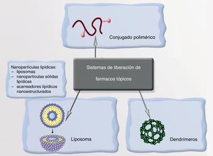 Nanosistemas para el transporte y liberación de principios activos en dermatología.