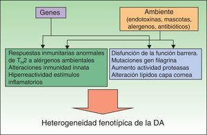 Etiopatogenia de la dermatitis atópica (DA).