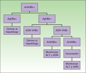 Algoritmo de actuación para pacientes con serología VHB+ que vayan a someterse a terapia biológica.