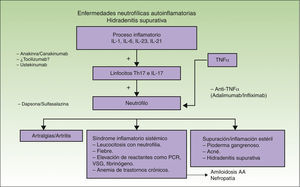 Inmunología, clínica y dianas terapéuticas de las enfermedades neutrofílicas autoinflamatorias.