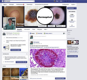 Página de Facebook desde donde se divulgan los contenidos de un blog dermatológico.