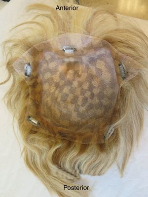 Zona inferior de la peluca con 5 pinzas.