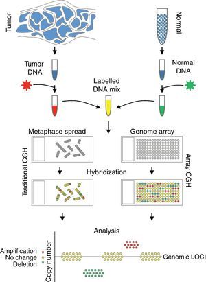 Schematic representing major steps in CGH. Left side demonstrates critical steps of a traditional CGH, while right side includes the commonly used array CGH.