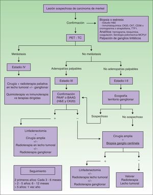 Algoritmo diagnóstico y terapéutico del carcinoma de Merkel.