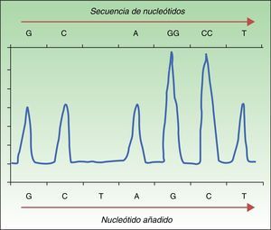 Ejemplo de un pirograma.