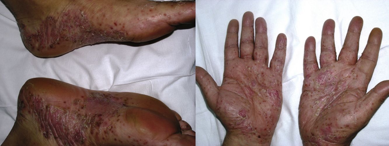 fig0020
