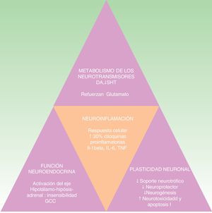 La inflamación en la etiopatogenia de la depresión.