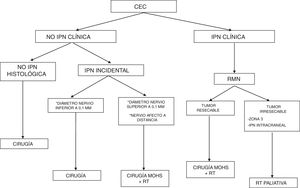 Algoritmo terapéutico del CEC con IPN.