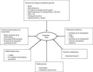 Factores que influyen en la fragilidad ósea del paciente con psoriasis. DMO: densidad mineral ósea; EA: espondilitis anquilosante; Fx: fractura; IMC: índice de masa corporal; RFA: reactantes fase aguda.
