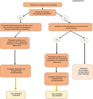 Algoritmo de diagnóstico del síndrome de piel sensible.