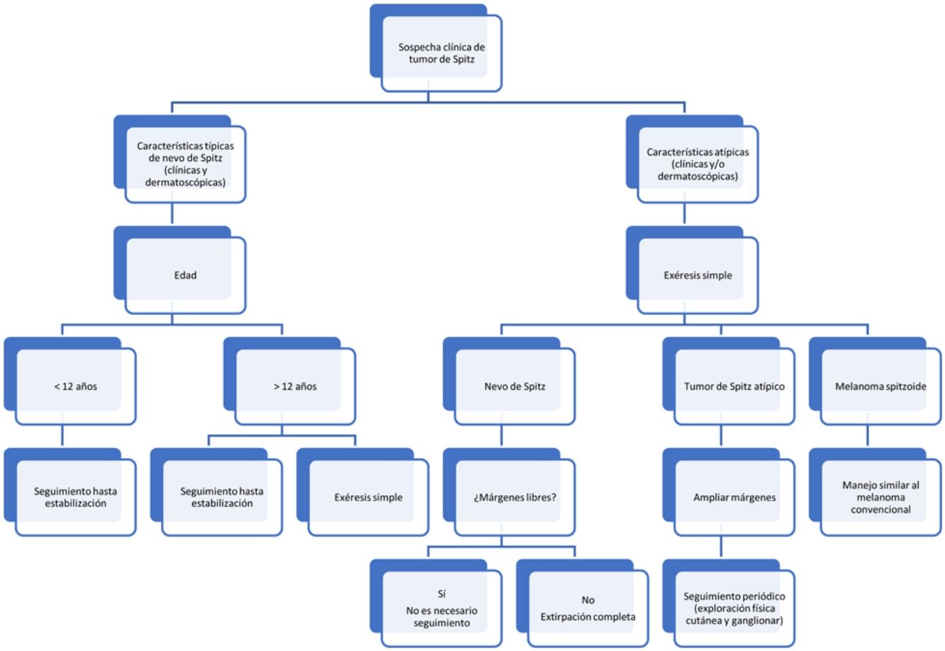 fig0010