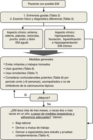 Manejo del eccema de manos (EM) por el médico de atención primaria.