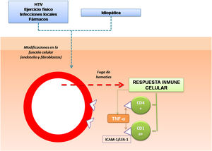Mecanismo etiopatogénico. Una de las hipótesis más aceptadas es que los linfocitos T son activados por un estímulo antigénico y mediante la expresión de moléculas de adhesión se unen a las células endoteliales, fibroblastos y queratinocitos de forma persistente.