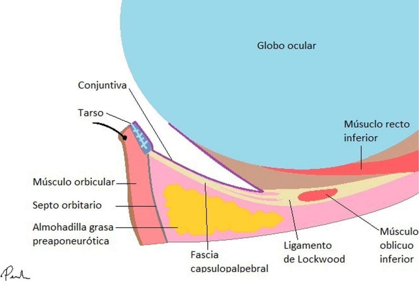 fig0050