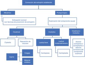 Algoritmo: técnicas quirúrgicas de corrección de ectropión.