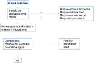 Algoritmo diagnóstico de amiloidosis.