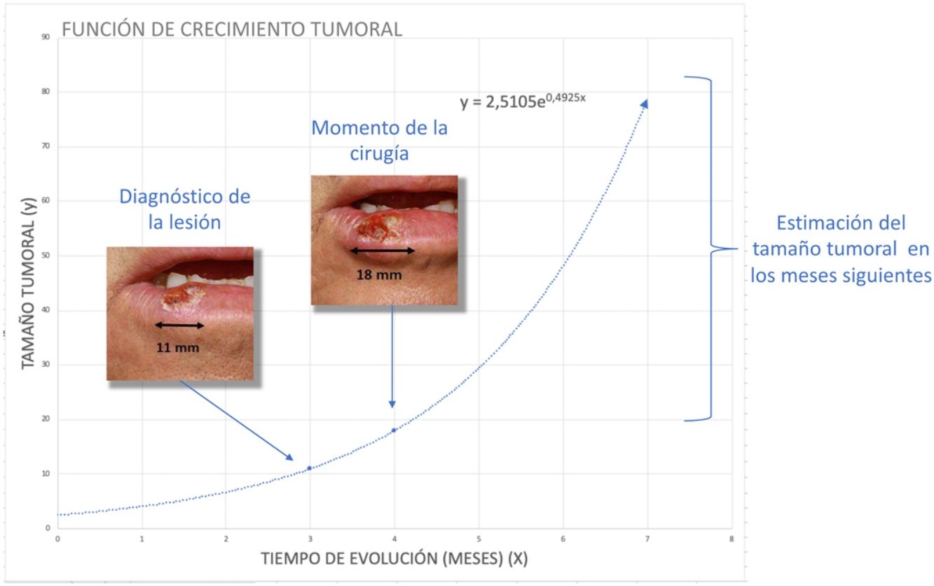 fig0020