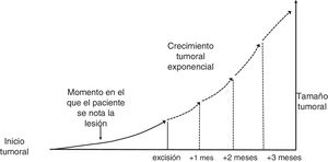 Modelo teórico de crecimiento exponencial de los tumores cutáneos.