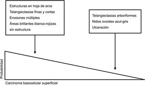 Claves para diagnóstico diferencial dermatoscópico entre carcinoma basocelular superficial y no superficial. Las estructuras en hoja de arce, las telangiectasias finas y cortas, las erosiones múltiples y las áreas brillantes blanco-rojizas sin estructura son potentes predictores del diagnóstico de carcinoma basocelular superficial. Por el contrario, las telangiectasias arboriformes, los nidos ovoides azul-gris y la ulceración predicen el diagnóstico de variantes histológicas diferentes al carcinoma basocelular superficial5,9.