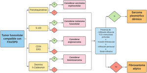 Algoritmo diagnóstico para fibroxantoma atípico y sarcoma pleomórfico dérmico. FXA: fibroxantoma atípico; SPD: sarcoma pleomórfico dérmico; TCS: tejido celular subcutáneo.