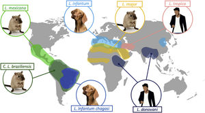 Distribución geográfica de las principales especies de Leishmania con su respectivo reservorio fundamental.