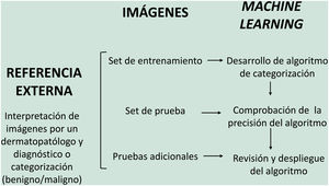 Modelo de inteligencia artificial para la definición de lesiones en dermatopatología.