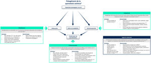 Tratamientos para la queratosis actínica en la actualidad. ADN: ácido desoxirribonucleico; ARN: ácido ribonucleico; COX: ciclooxigenasa; EMA: Agencia Europea de Medicamentos; FDA: Food and Drug Administration, Administración de Alimentos y Medicamentos de Estados Unidos; FU: fluorouracilo; IFN-α: interferón alfa; LSRs: reacciones cutáneas locales; UV, ultravioleta28,29,30.