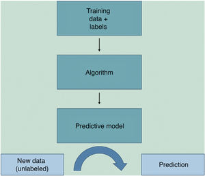 Basic steps for constructing an artificial intelligence algorithm.