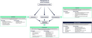 Current treatments for actinic keratosis. COX indicates cyclooxygenase; EMA, European Medicines Agency; FDA, United States Food and Drug Administration; FU, fluorouracil; IFN α: interferon alpha; LSR, local skin reaction28–30.
