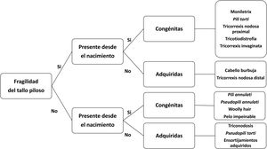 Aproximación diagnóstica a las displasias pilosas. Modificado de Mirmirani et al.1.