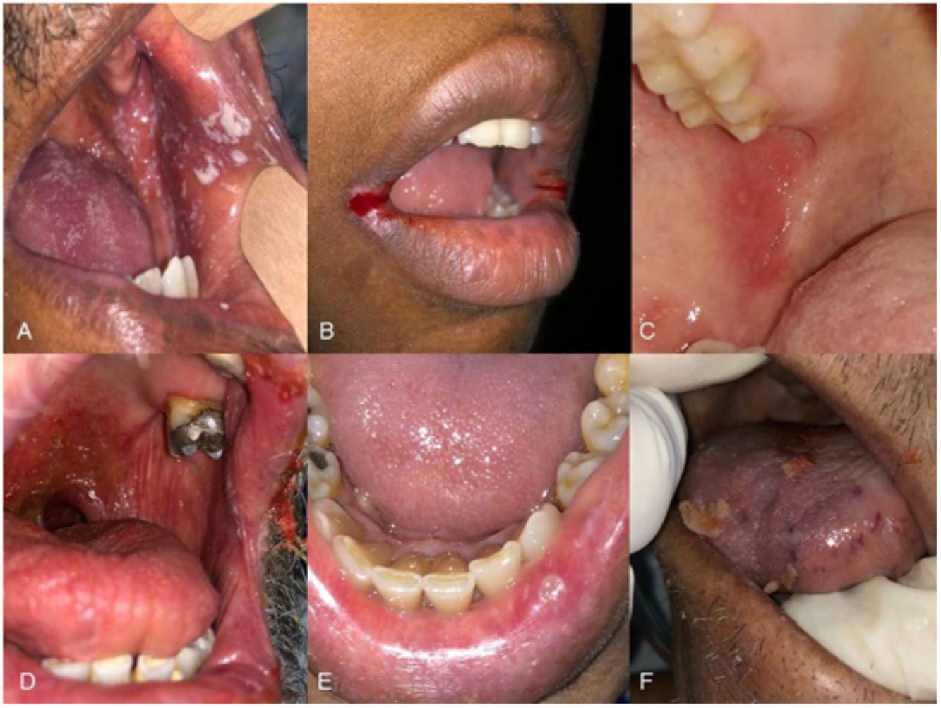 fig0015