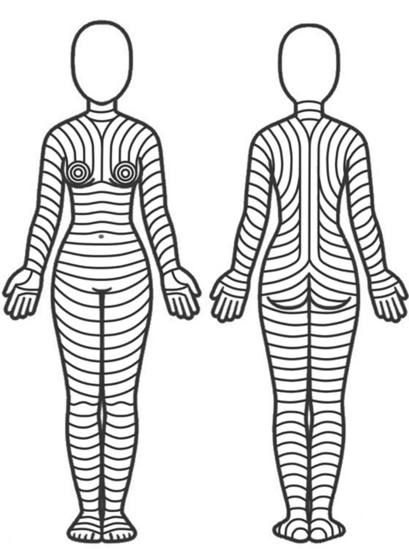 fig0040